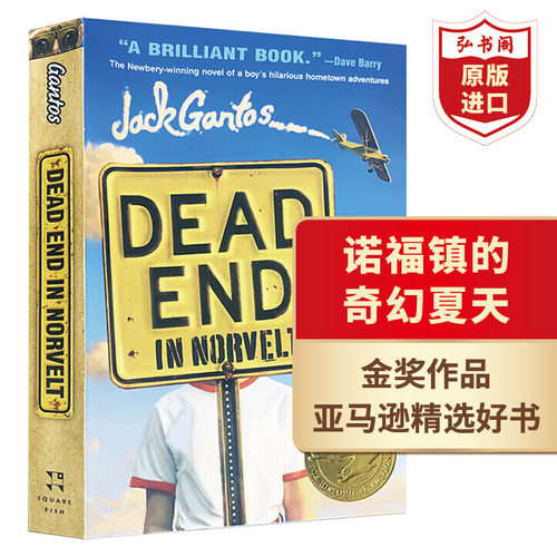 诺福镇的奇幻夏天英文原版