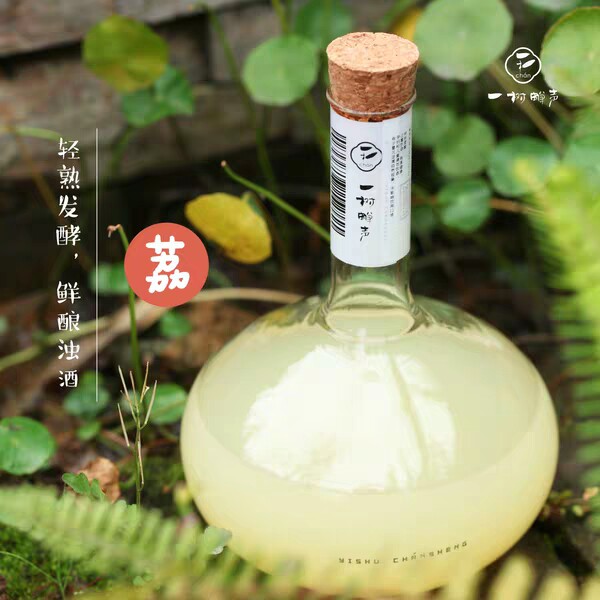 高档创意家用密封红酒瓶500ML果酒瓶玻璃空瓶自酿葡萄酒瓶子酒瓶