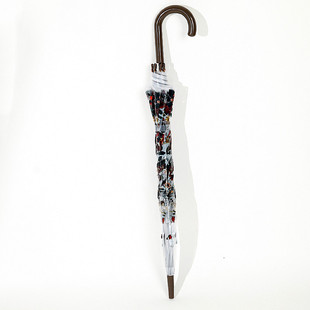 浮羽弯雨伞 英伦风数码热带拱形伞拍照半自动长伞伞