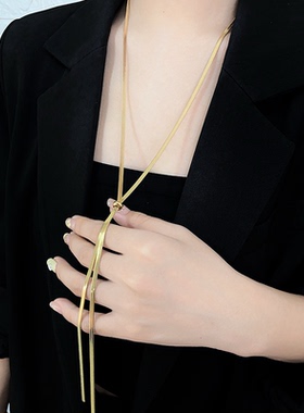 欧美时尚抽拉长款项链女小众轻奢设计高级感蛇骨链简约百搭毛衣链