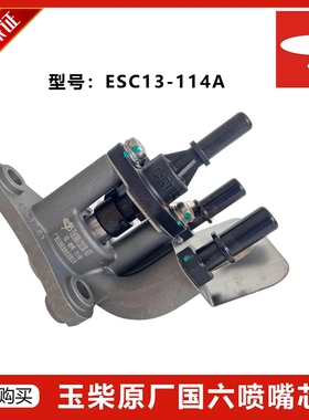 玉林原厂YM3000-1205580尿素喷嘴总成潍坊柴油发动机单孔喷嘴芯