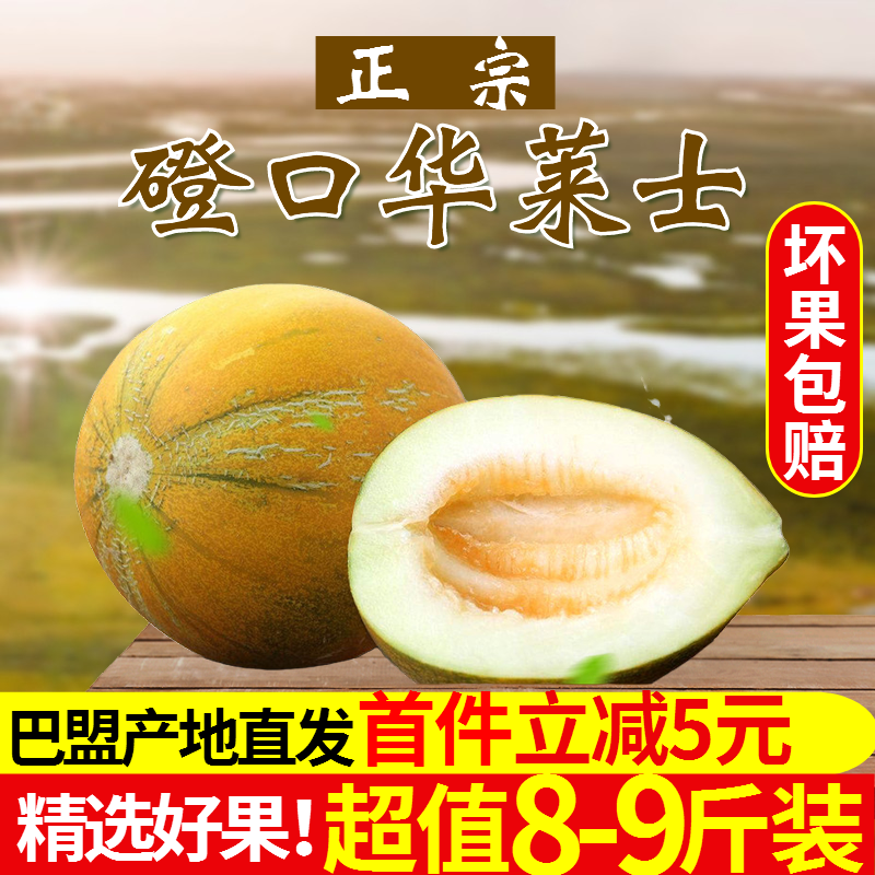 磴口华莱士甜瓜河套哈蜜瓜甜现摘应季新鲜水果包邮内蒙古巴盟香瓜