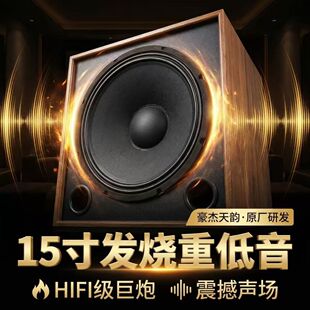 豪杰天韵品牌 BS15 15寸烧hifi级无源音箱低音炮一只超重低音单元