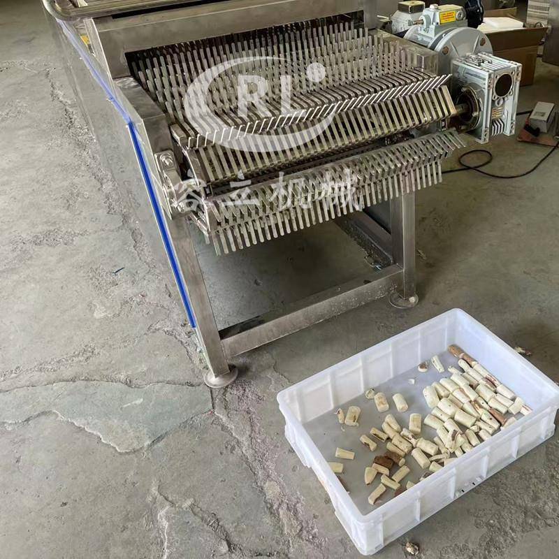 全自动果蔬切段机无损伤鲜玉米冻玉米切段机器长豆角分段机