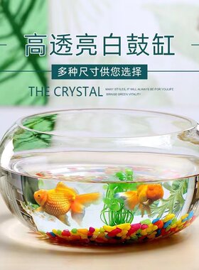 小鱼缸桌面玻璃碧澜玻璃金鱼缸鱼