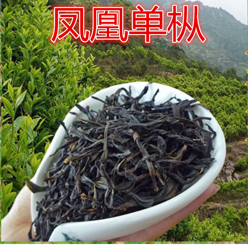 广东凤凰山潮州凤凰单枞茶乌岽单从茶浓香轻火鸭屎香春茶茶叶500G-封面