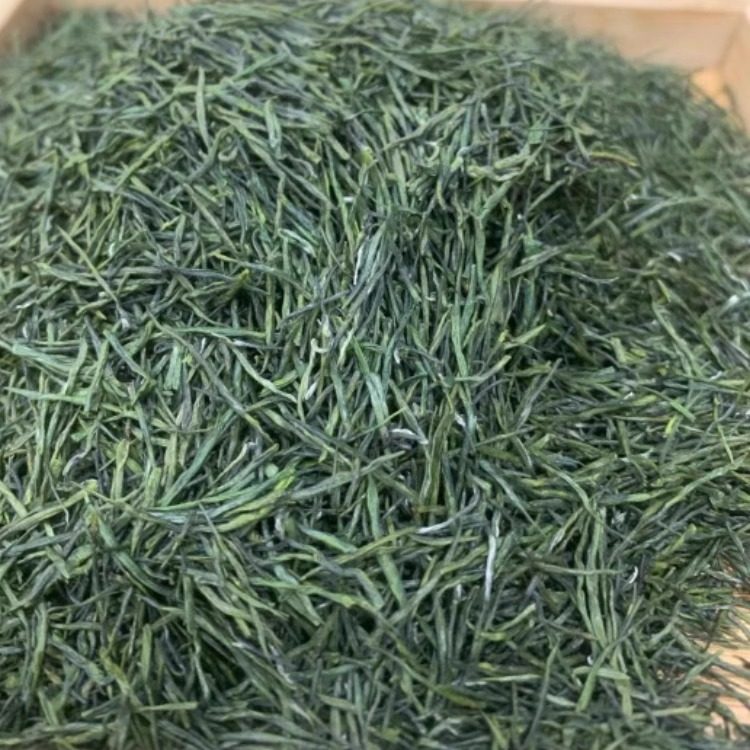 2026保康绿茶茗茶香浓耐泡500g