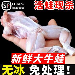 牛蛙鲜活新鲜速冻特大牛蛙腿去内脏去皮烧烤食材冷冻商用水产田鸡