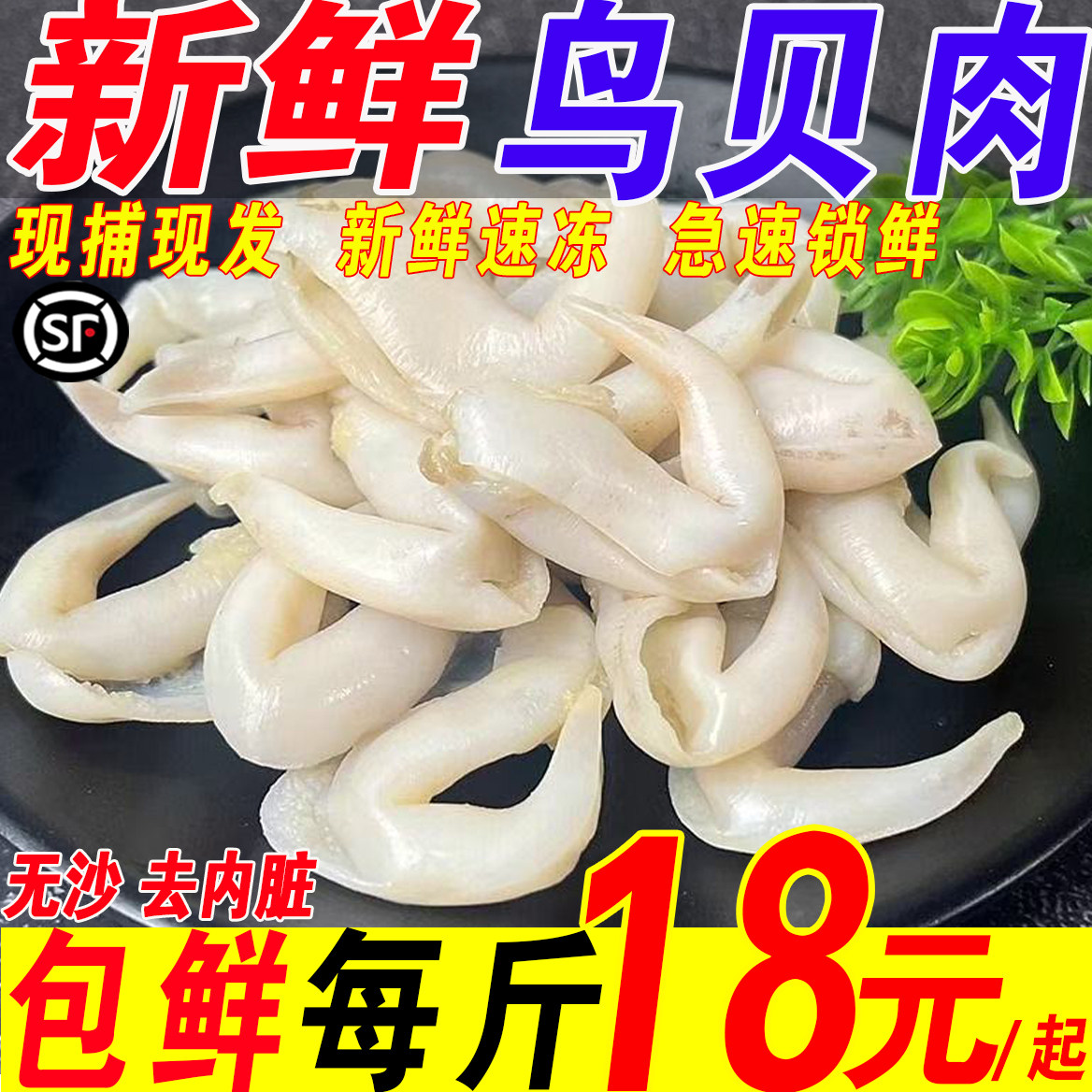 新鲜鸟贝肉去沙去内脏免清理葱油白鸟贝捞汁海鲜烧烤火锅食材商用