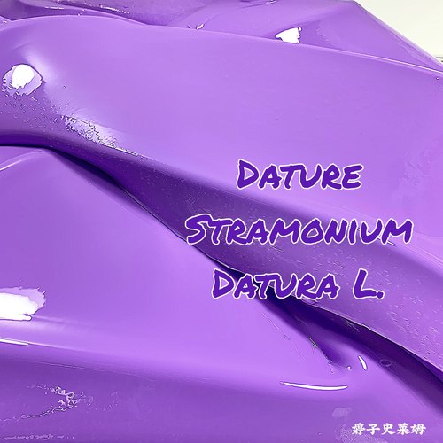 史莱姆紫色曼陀罗质感拉面解压泥