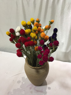 【云南七彩花坊】      干花发财果一包20朵