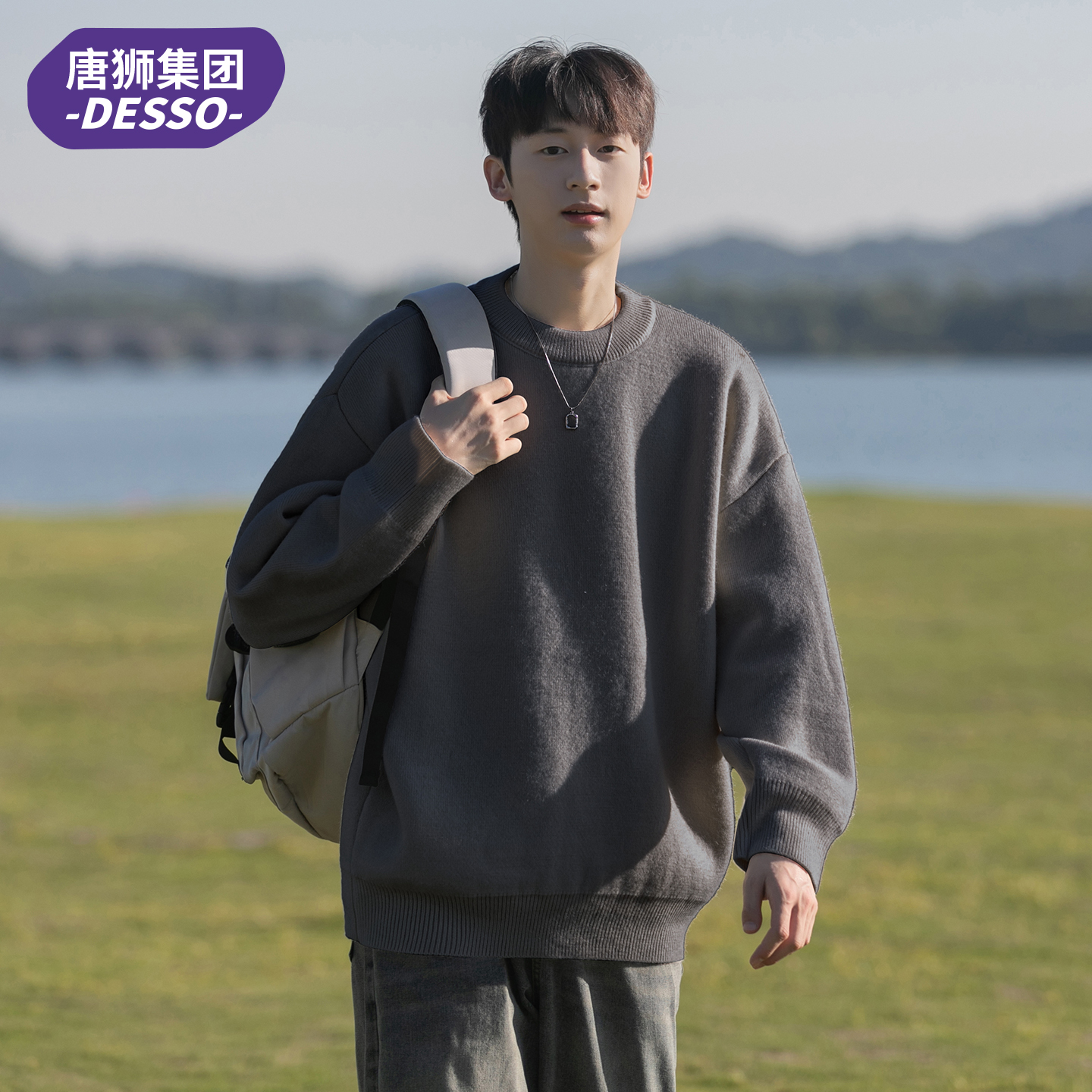 唐狮集团DESSO休闲针织衫