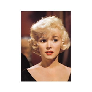 【比利怀尔德合集】控方证人电影海报 热情如火 日落大道七年之痒