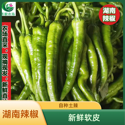 湖南本地软皮辣椒薄皮青椒