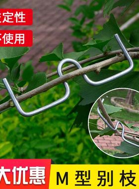 果树拉枝器定型器花卉月季压弯开角别枝神器苹果樱桃树m型拉枝器