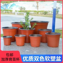 双色花盆种植育苗盆营养钵塑料一次性加厚园艺绿植盆多肉盆培育