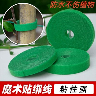 爬藤绿植绑带魔术贴植物造型花园带双面粘扣园艺扎线捆绑支撑固定
