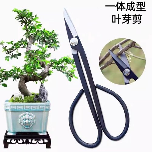 家用叶芽剪小枝切剪盆景专用工具剪刀修剪园艺修枝专业花剪插花剪