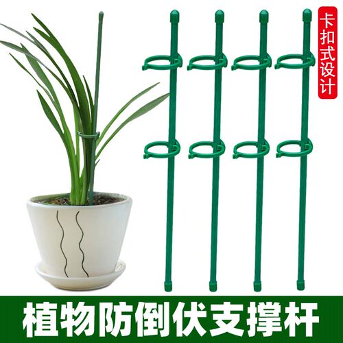 爬藤吊兰园艺花架花支撑架植物防