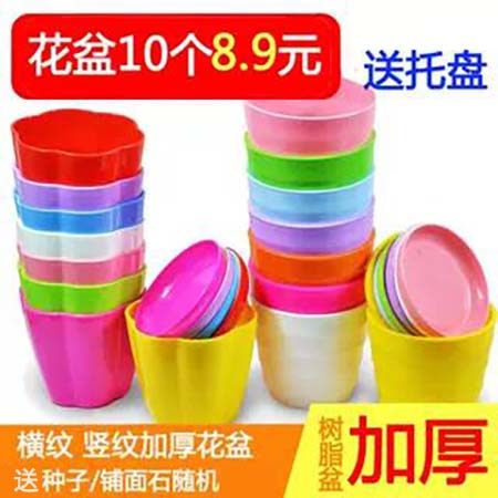 环保塑料糖果横纹漂亮多肉花盆