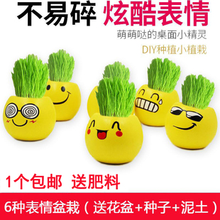 草头娃娃办公室迷你植物小盆栽青草种植表情桌面diy盆栽学生礼品