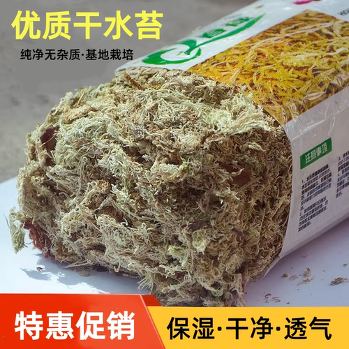 水苔包邮无菌进口干水苔蝴蝶兰花
