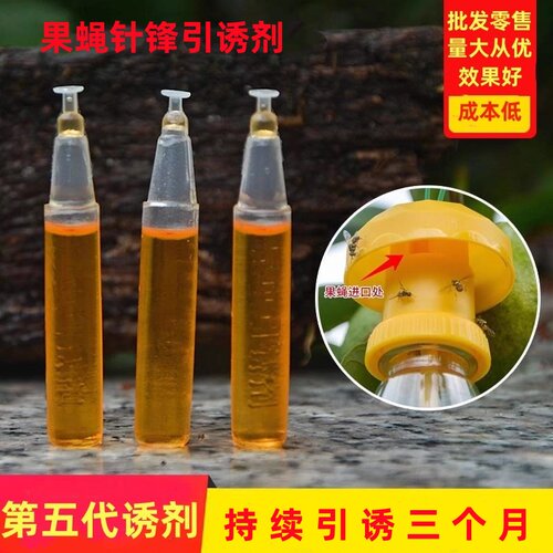果蝇引诱剂药水桔小针锋