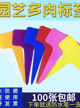 园艺多肉标签牌园艺植物花名花盆塑料标签防水小插牌多肉盆栽标签