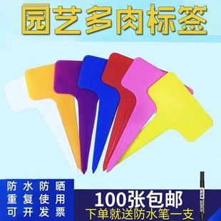 园艺多肉标签牌园艺植物花名花盆塑料标签防水小插牌多肉盆栽标签