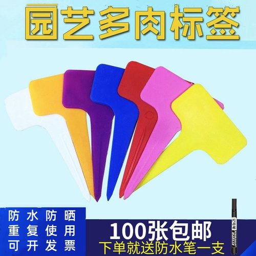 园艺多肉标签植物花名塑料