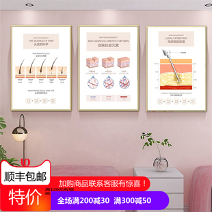 美容院皮肤管理结构图装饰画面部保养头疗养护墙壁画护肤养生挂画