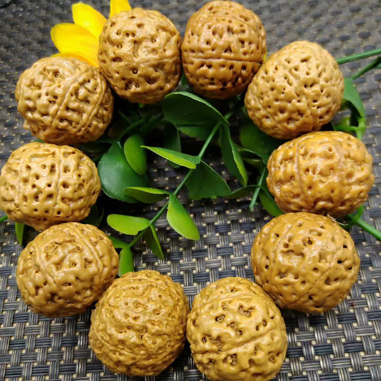 金匠大作印尼蚂蜂窝姜黄皮菩提手串7七8八瓣高密度秒沉水文玩大金