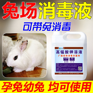 兔舍专用消毒液养殖场兔场兔子兔瘟杀菌消毒杀真菌兔用防病毒疫病
