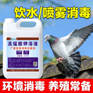 鸽舍洗澡杀菌高锰酸钾消毒液鸡鸭鹅禽类养殖场消毒液饮用水净化剂