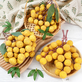 仿真龙眼串假桂圆模型水果蔬菜装 饰道具水果店假 成列摆设挂件