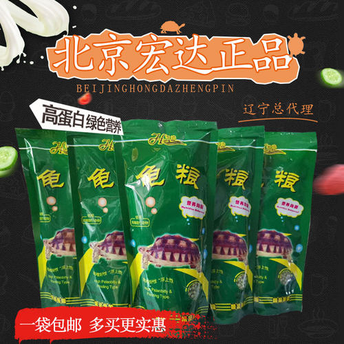 巴西龟营养健康小乌龟
