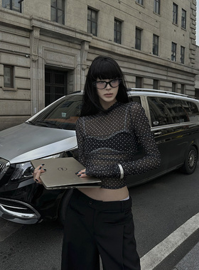 Fanptntox 波点网纱长袖打底衫女秋季新款修身显瘦防晒百搭上衣潮