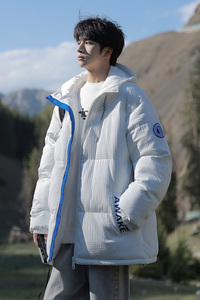 2024冬季青少年连帽棉服潮牌刺绣加绒加厚棉衣外套HL5307-P85图片