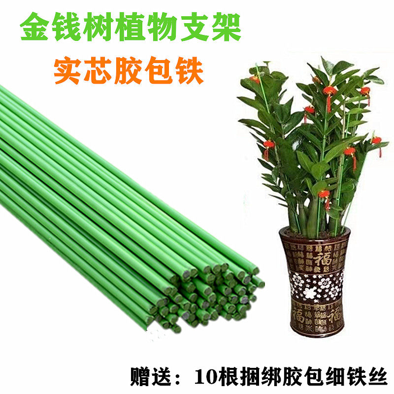 金钱树兰花支架植物支撑杆加粗实芯铁丝园艺盆栽支撑花架铁支架杆图片