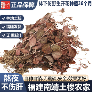 正宗福建开花金线莲整株金线莲干品林下仿野生金线莲养生茶礼盒装