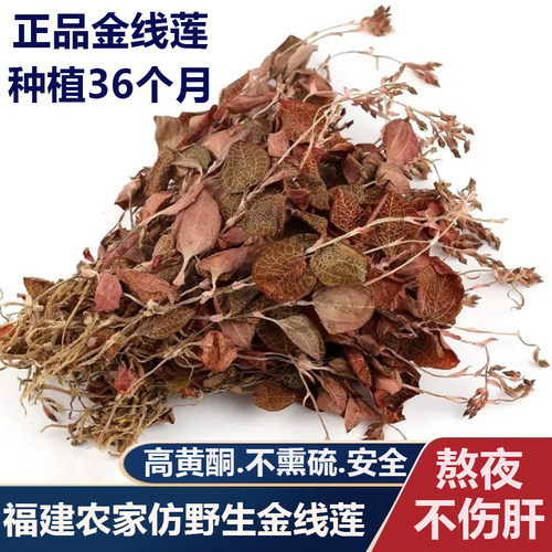 正宗金线莲开花整株福建南靖500g