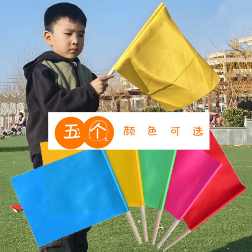 幼儿园早操表演旗帜彩旗手拿道具
