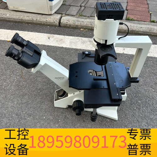OLYMPUS奥林巴斯CKX31SF倒置显微镜.议价