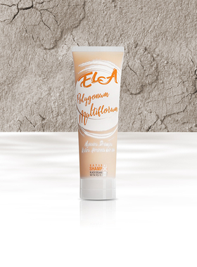 ELA POLYGONUM MULTIFLORUM SHAMPOO 何首乌防脱固发柔顺洗发露