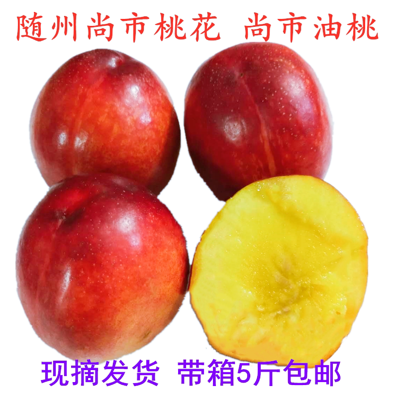 随州尚市油桃毛桃李子现摘发货桃子新鲜水果甜桃孕妇时令应季脆桃