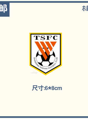 中乙定做山东泰山烫印烫画