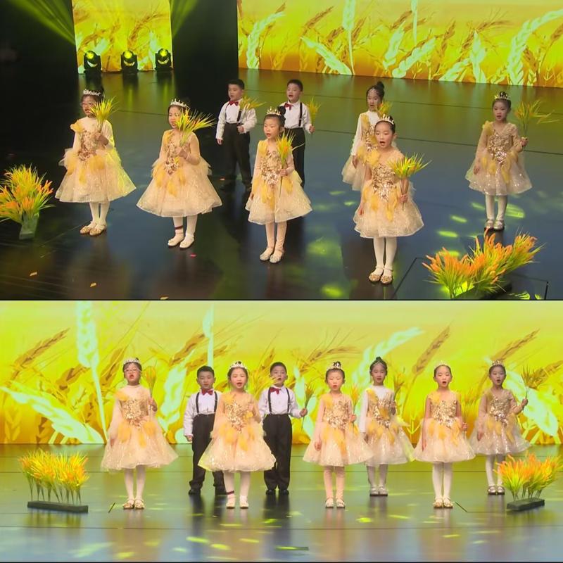 丰收的稻田梦儿童黄色纱裙演出服