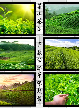 绿色风景海报制作茶馆装饰贴画