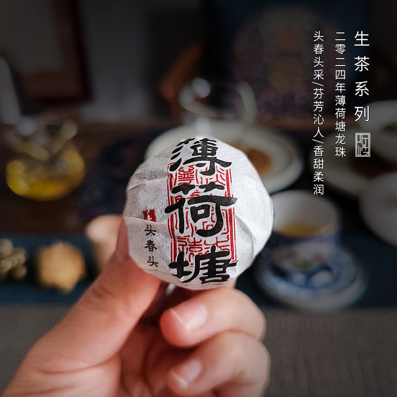 收藏系列 2024年易武薄荷塘龙珠沱茶云南普洱茶叶伴手礼罐装送礼