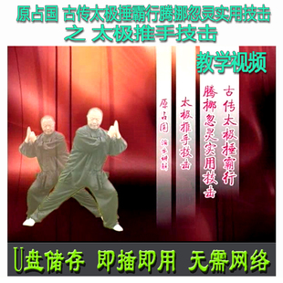 原占国 太极拳推手技击U盘视频陈式系列陈氏实战用法应用教学讲解